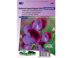 Sluis Garden - Reukerwt Cupani Original 1699 (lathyrus)