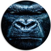 Gorilla wandbord - Dier schilderij - Rond schilderij Ogen - Klassiek schilderijen - Wanddecoratie rond - Muur kunst muurcirkel aluminium 80x80 cm