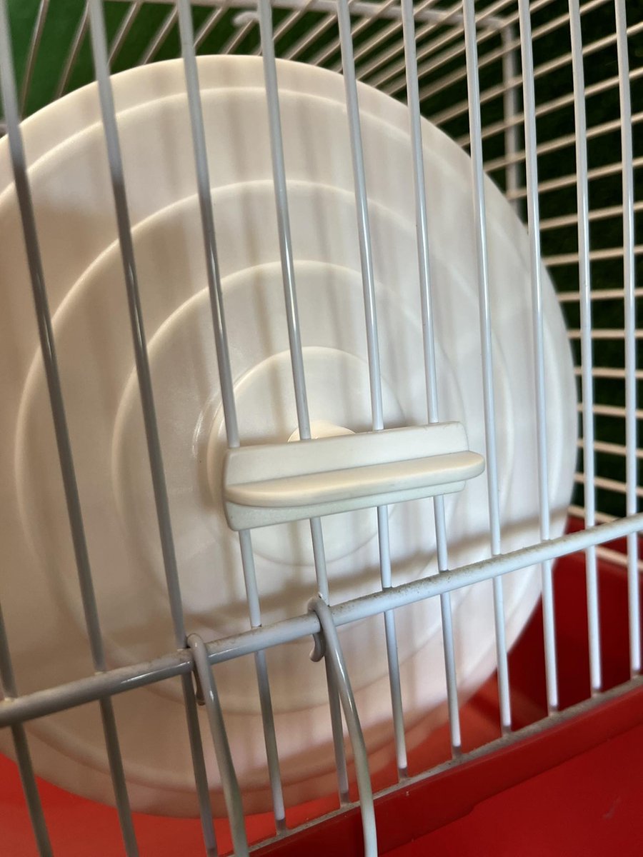 Hamsterwiel pvc rond - loopwiel hamster - 14 cm - mix kleuren