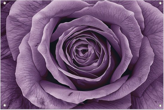 affiches roses - affiche de jardin fleuri - affiche de jardin feuilles - affiche de jardin - Tableaux de jardin pour l'extérieur - Décoration de jardin décoration murale affiche de jardin 75x50 cm