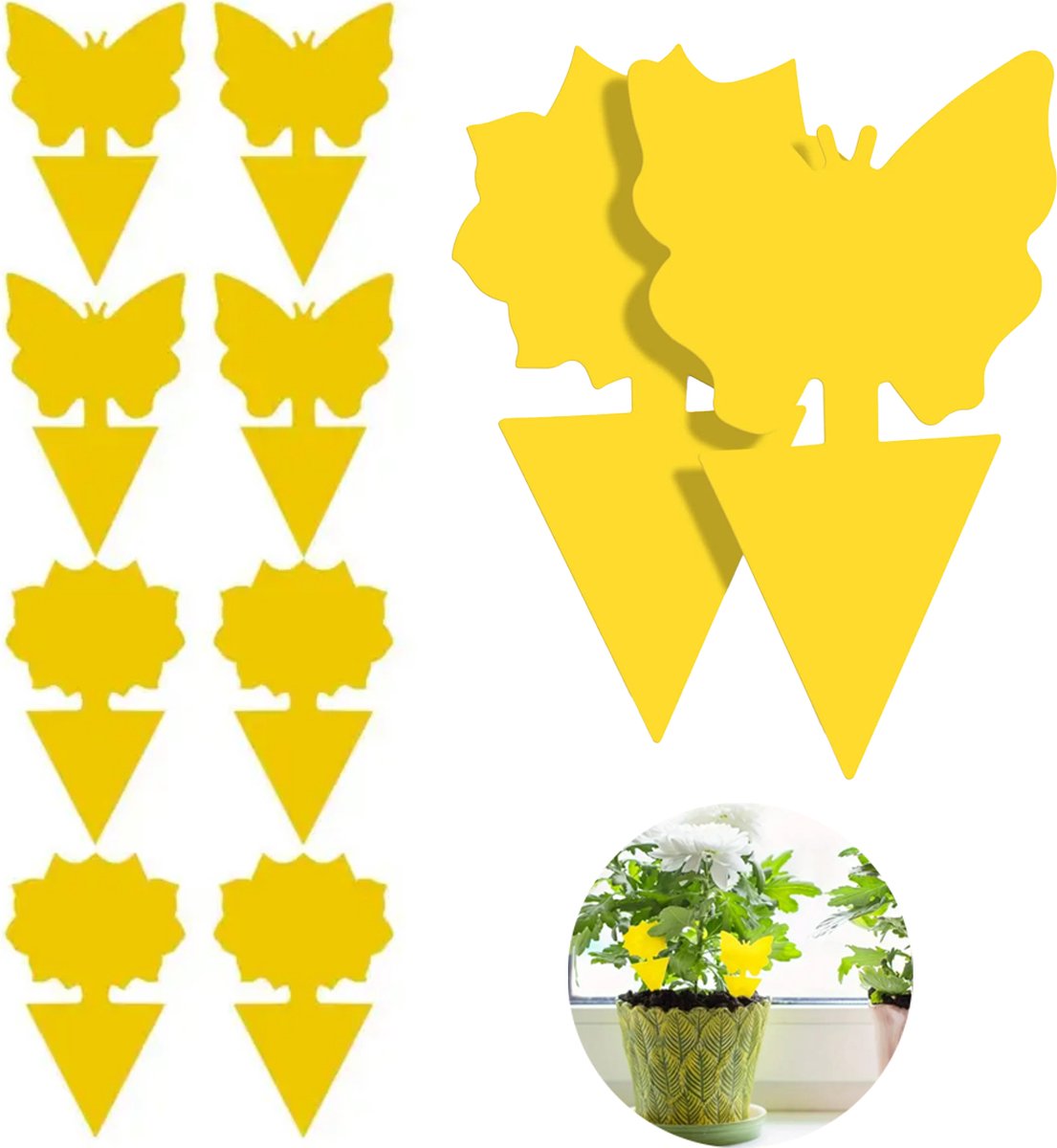 24 Stuks - Fruitvliegjes Vanger - Vliegenstrippen - Rouwvliegjes Bestrijden - Vliegenvanger Plakstrips - LOUZIR