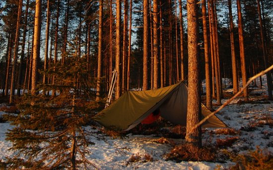 Bushmen Thermo Tarp 4x3 van Bushmen — afbeelding 4
