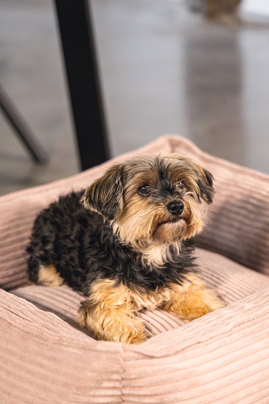 Roze corduroy hondenmand met een zittende hond.