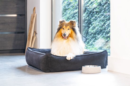 Collie in een donkergrijze hondenmand met ribbelstof, naast een voerbak.
