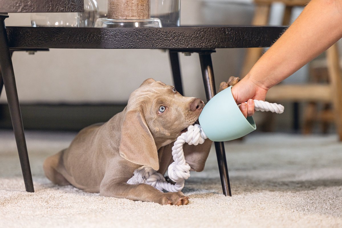 LG Beeztees Puppy Pullina - Flostouw met beschermkap thumbnail 5