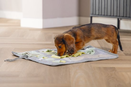 Beeztees Puppy Doeka Snuffelmat - Puppy Speelgoed - Puppy Snuffelmat - Hondenspeelgoed - Grijs - 50x45 cm