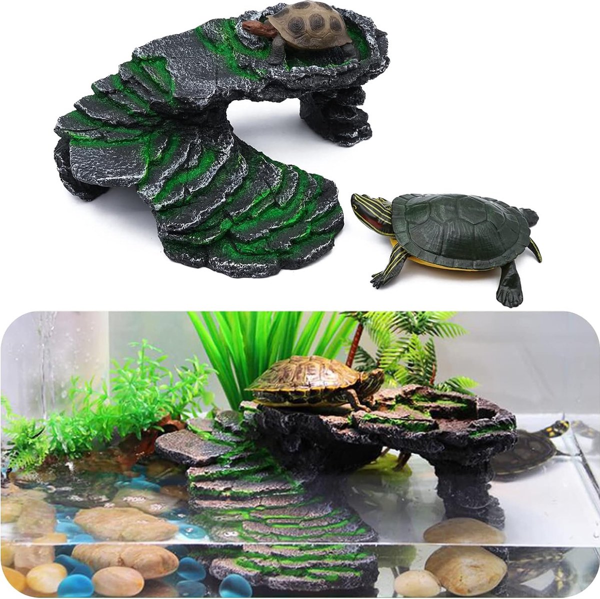 Schildpadden aquariums - Aquarium-accessoires kopen | Lage prijs