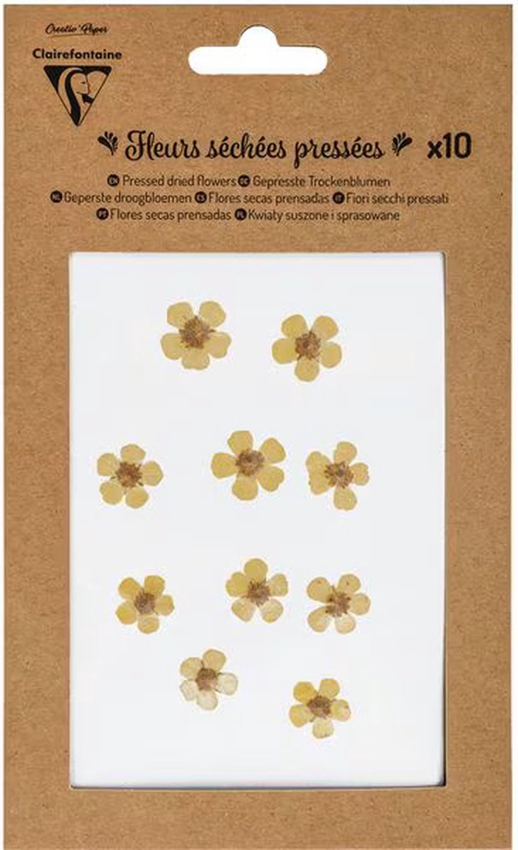 Claire Fontaine Geperste droogbloemen 10 stuks Jaune Boterbloemen