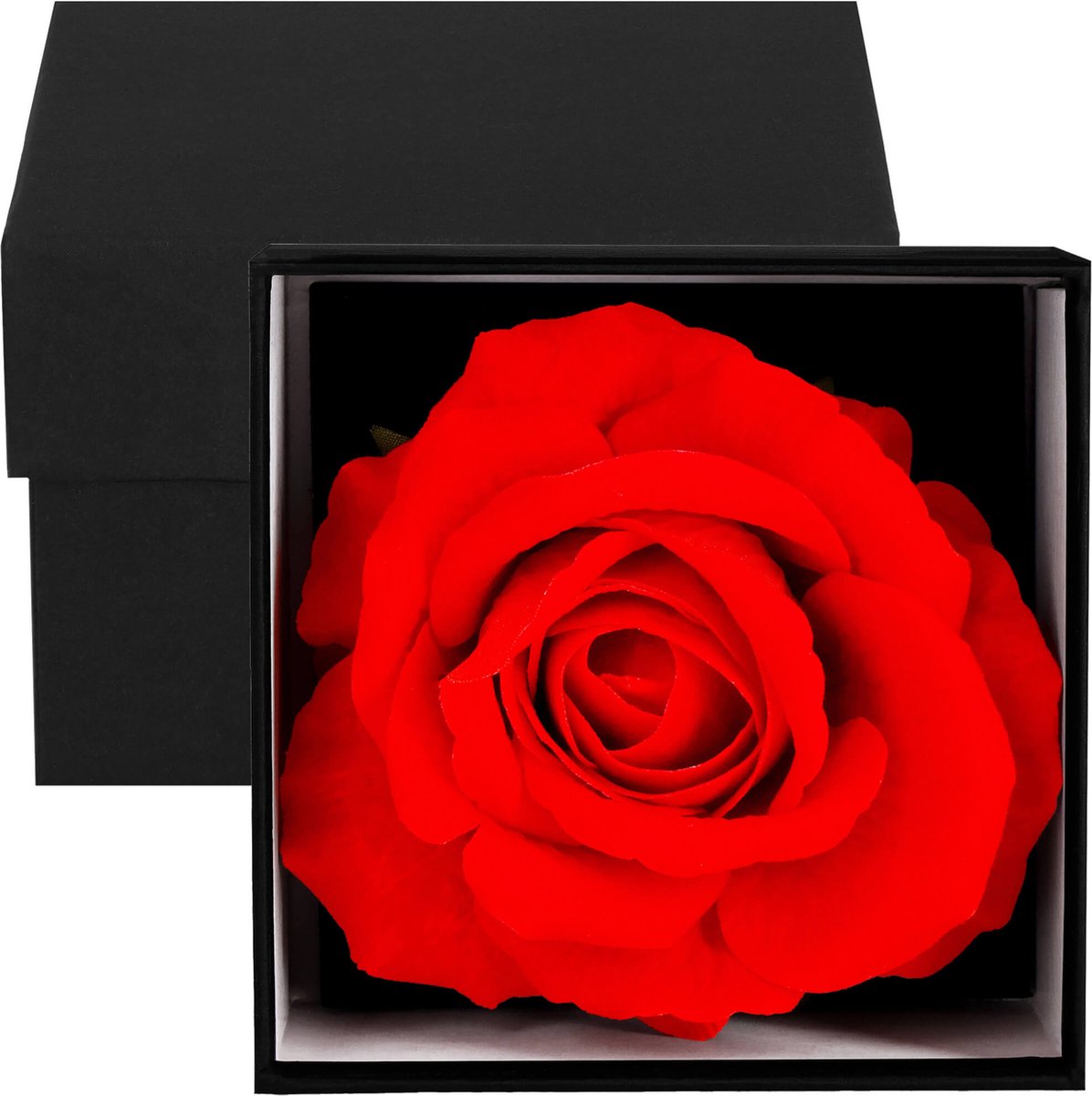 Springos Eeuwige Roos - Geschenkdoos - Geschenkbloem - Liefde - Zwart