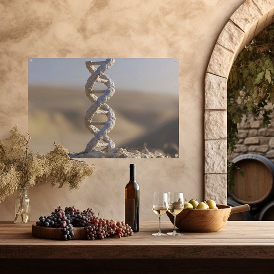 DNA-model poster - Wetenschap poster - Tuinposters Rots - Balkon decoratie - Schutting poster - Decoratie tuin tuinposter 120x80 cm