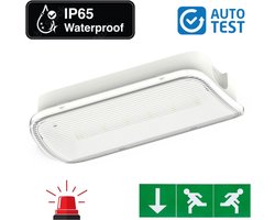 Auto-Test Compact LED Bulkhead Noodverlichting 1w - 150 Lumen - IP65 - Met pijlaanduiding - 231x116mm