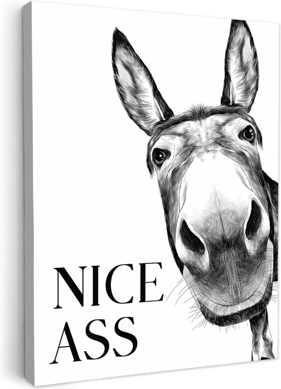 Peinture sur toile 30x40 cm - Décoration murale salle de bain Citation - Âne - Animaux - Nice cul - Dictons - Décoration murale WC - Accessoires décoratifs - Décoration murale Toilettes - Peintures sur toile