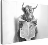 120 cm x 80 cm