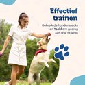 Vrouw met witte jurk geeft hond met rood-wit geblokte band snacks