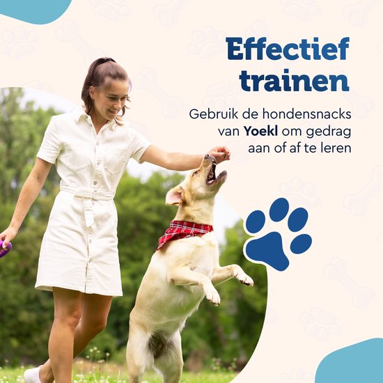 Vrouw met witte jurk geeft hond met rood-wit geblokte band snacks
