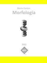 Lingua italiana 5 - Morfologia