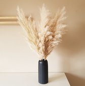 Plumes de pampa avec lumières de Noël - AVEC VASE - Éclairage de Noël - Plumes de pampa - Décorations de Noël - Fleurs séchées