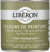 Libéron Velours De Peinture - 0.5L - Vert Herbarium