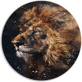 Plats muraux Lion - Décoration murale Animaux ronde - Tableau Éclaboussures de peinture - Tableau moderne - Décoration murale ronde - Décoration murale cercle aluminium 70x70 cm