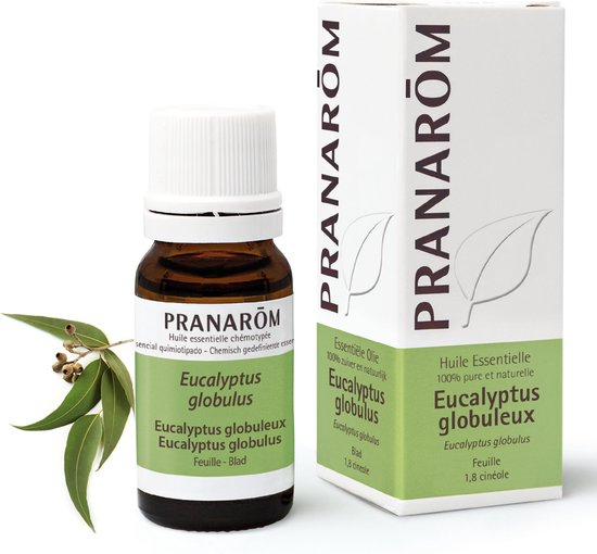 Etherische olie van Eucalyptus globulus