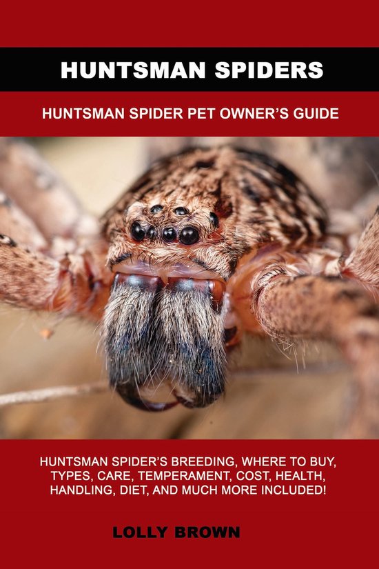 Huntsman Spiders - cover