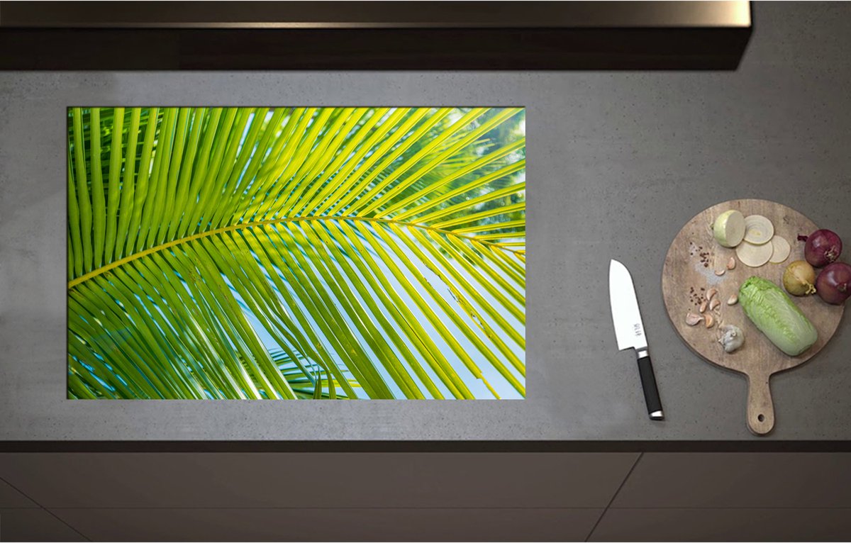 Inductieplaat Beschermer - Close up van Palmblad voor Blauwe Lucht - 80x52 cm - 2 mm Dik - Inductie Beschermer - Bescherming Inductiekookplaat - Kookplaat Beschermer van Zwart Vinyl