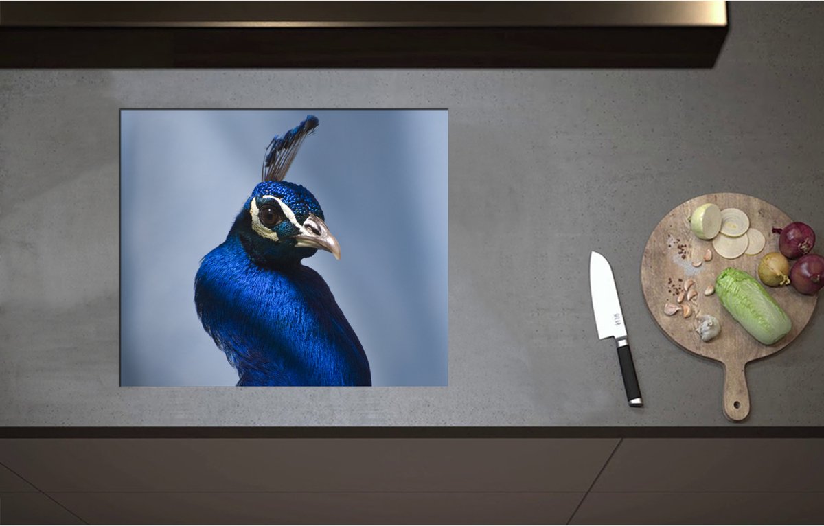 Inductieplaat Beschermer - Chique Poserende Kop van Blauwe Papegaai - 60x51 cm - 2 mm Dik - Inductie Beschermer - Bescherming Inductiekookplaat - Kookplaat Beschermer van Wit Vinyl