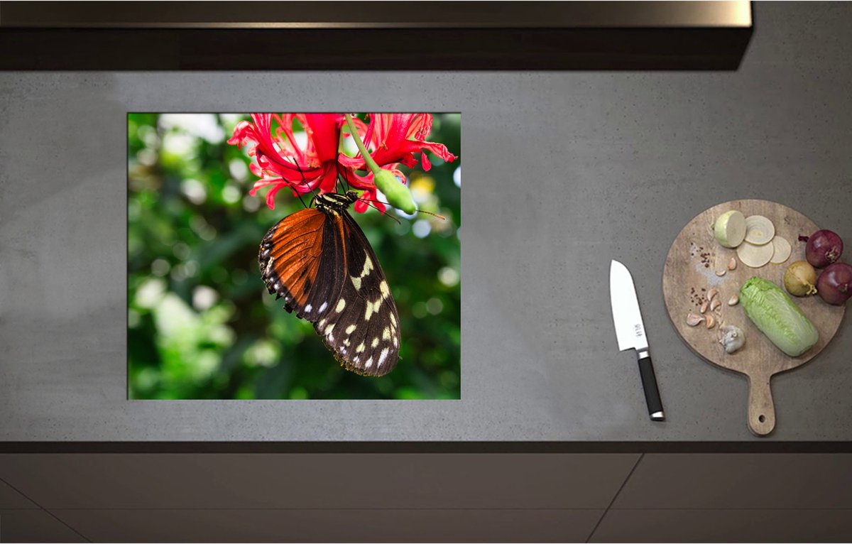 Inductieplaat Beschermer - Bruin met Zwarte Vleugels van Vlinder op Rode Bloeiende Bloem - 59x51 cm - 2 mm Dik - Inductie Beschermer - Bescherming Inductiekookplaat - Kookplaat Beschermer van Wit Vinyl