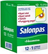 Salonpas pleisters 12 x 10 stuks