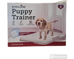 Kowloon Puppy Trainer S