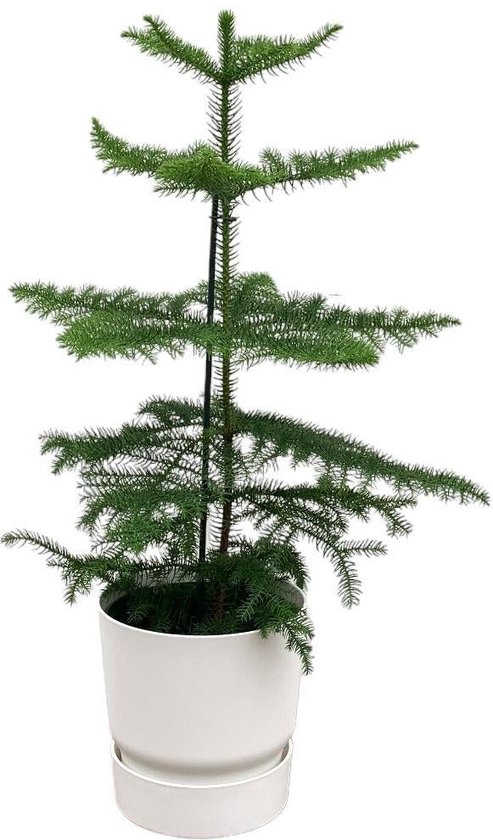 Elho Greenville Round 47cm Plastic Plant Pot in White | at B&Q