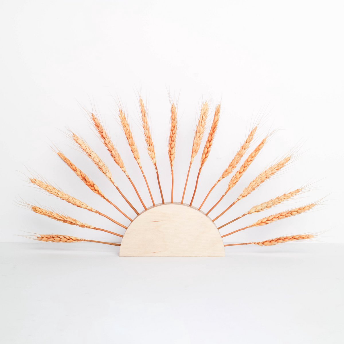 By woom/ sunholder/droogbloemen houder