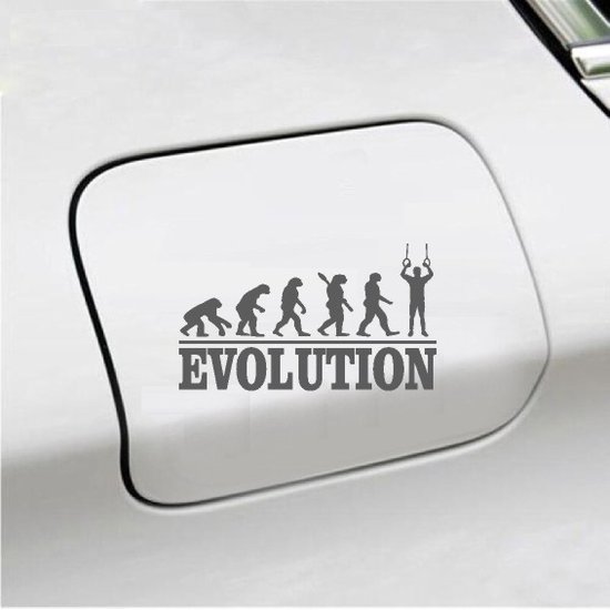 Foto: Bumpersticker evolution turnringen 20x9 3 antraciet
