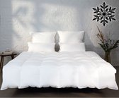 BEFA NATUR Winter Ganzendons dekbed, 155x220 cm, van 90% ganzendons en 10% veren, Made in Germany