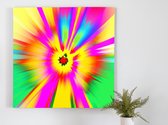 Biem | BIEM | Kunst - 60x60 centimeter op Forex | Foto op Forex