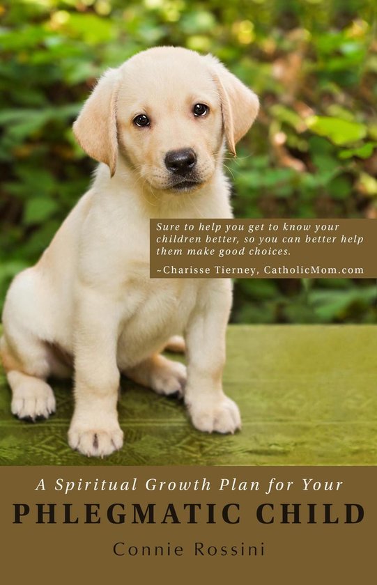 A Spiritual Growth Plan for Your Children 3 - A Spiritual Gr ... - cover