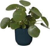 Vibes Fold Rond Bloempot met Watermeter en Self-Watering Insert - 100% Gerecycled Plastic - Diepblauw - Ø 22 x H 20.2 cm