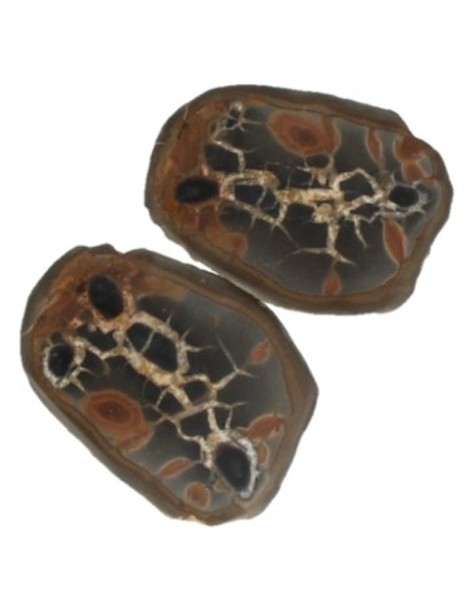 Ruben Robijn Septarie / thunderstone paar 3-5 cm Bruin / geel
