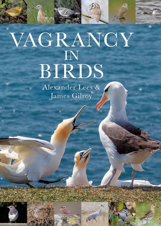 Vagrancy in Birds - cover