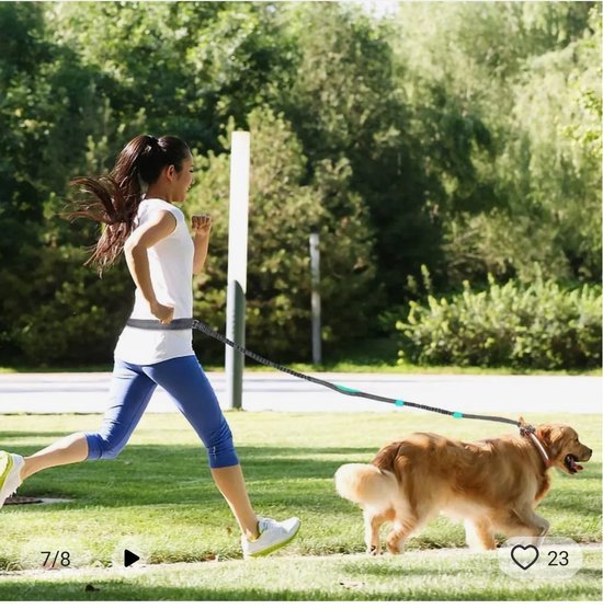 Ceinture Runnig Chiens - Enclos - Jogging - Marche - Chien - Anti choc - Jaune Fluor