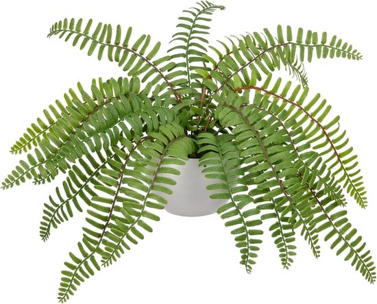 Asplenium Varen kunstplant 75 cm in 12cm pot | Maxifleur kunstplanten