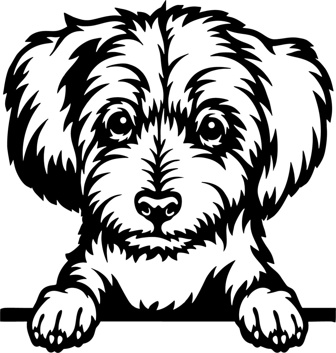 6 Raamstickers / autostickers Malteser - transparante zelfklevende sticker - 1 x 35cm, 1 x 25cm en 4 x 15cm, uitgesneden sticker - honden sticker - zwarte opdruk