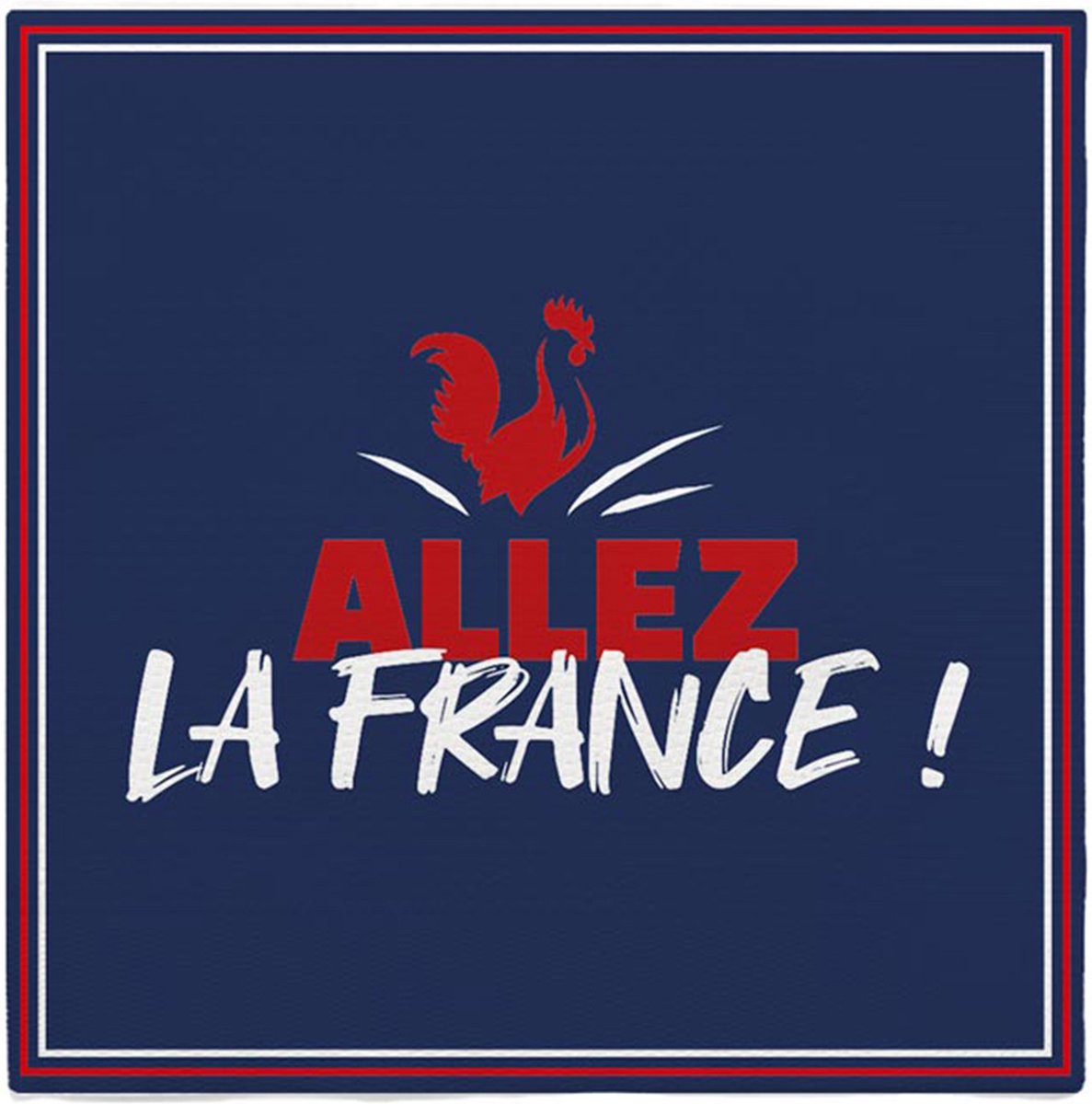 SUD TRADING - 10 Frankrijk servetten Allez la France