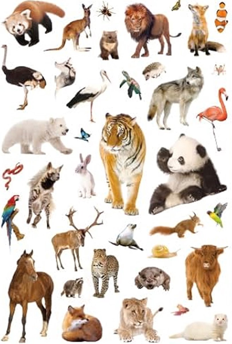 Wilde Dieren Stickers - 4 Grote Stickervellen - Knutselen Kind - Stickers Dieren — afbeelding 9