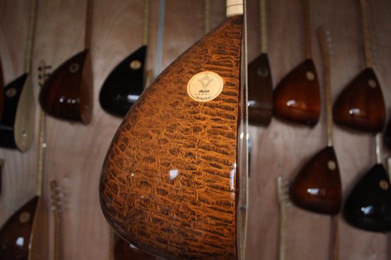 lange hals saz turkse gitaar baglama akoestisch | bol