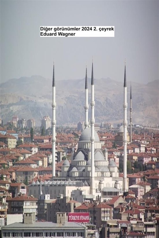 Diğer görünümler 2024 2. çeyrek - cover