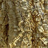 Amorim klikvloer Hout Natural START - Dakota Eiken Zand - per m2