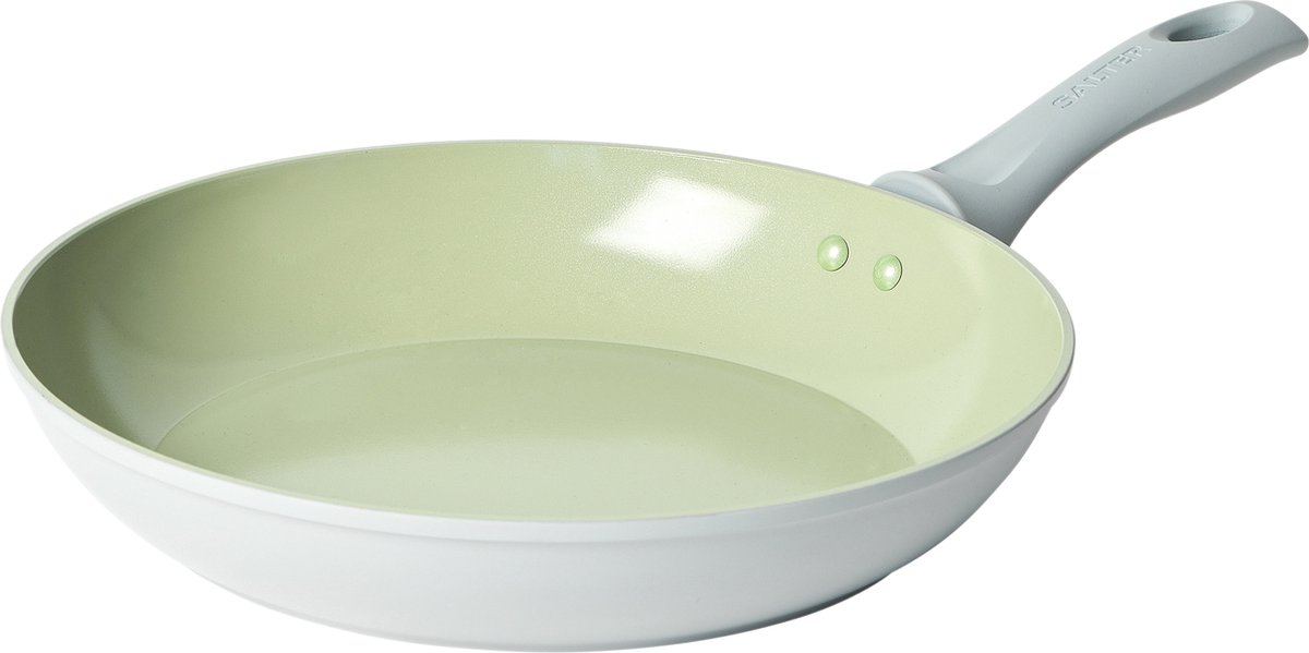 Salter Earth frituren Pan Non-Stick 28 cm Induction gesmeed aluminium