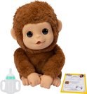 Bruin knuffel aapje met grote ogen, naast een flesje en een adoptiecertificaat.