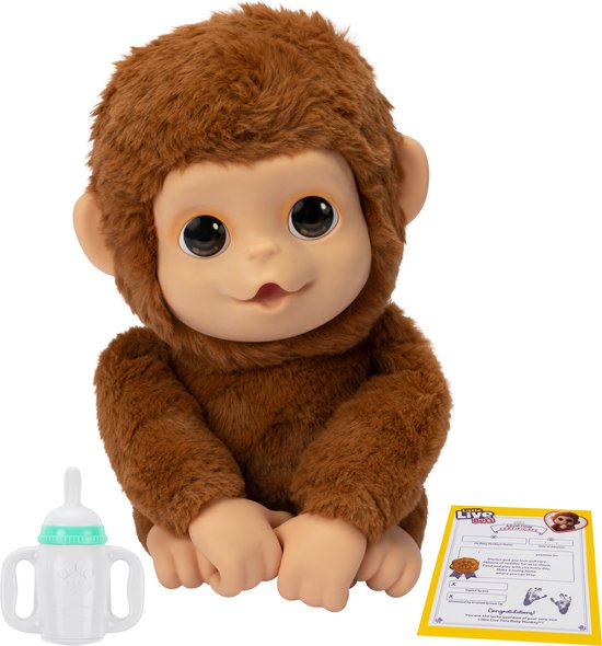 Bruin knuffel aapje met grote ogen, naast een flesje en een adoptiecertificaat.